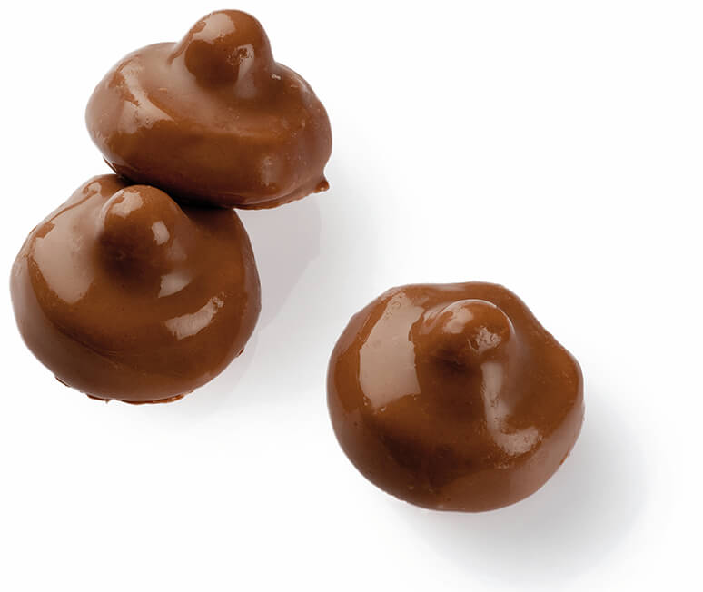 Chocolate Mushroom 77.6 oz CARTON - Candify.com